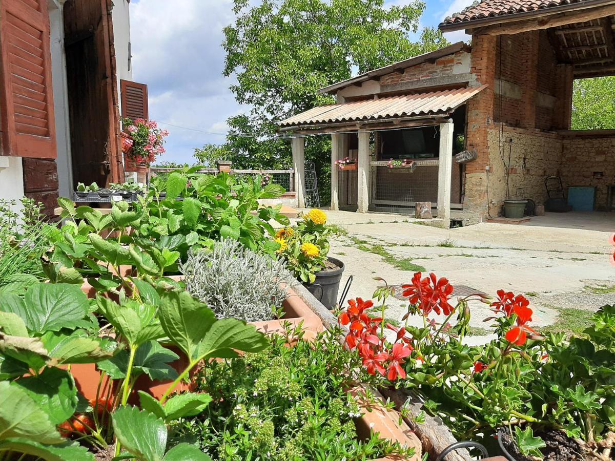 Villa Cascina Teresina Monferrato Piscina Cortazzone Exterior foto